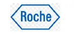 Roche logo, as shown in the supplied RAM client-experience presentation